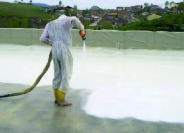 MS Polymer Waterproofing Application Image 1