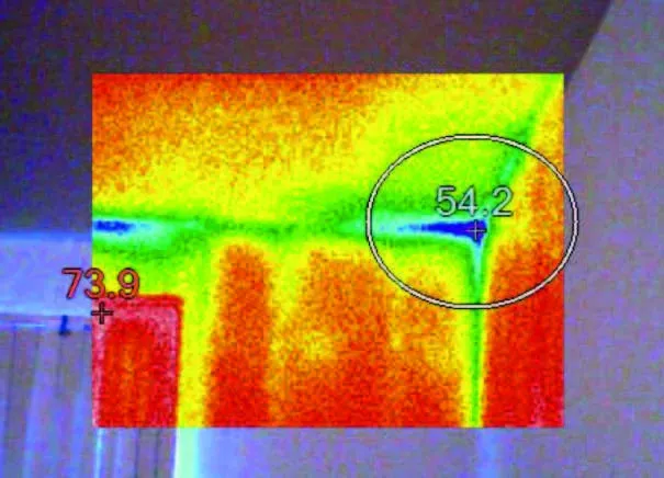 صورة طلاء حراري Termal 100 2